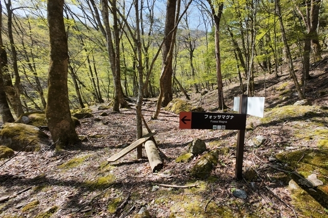 A02DJI_20240426_0125_D_A00.JPG