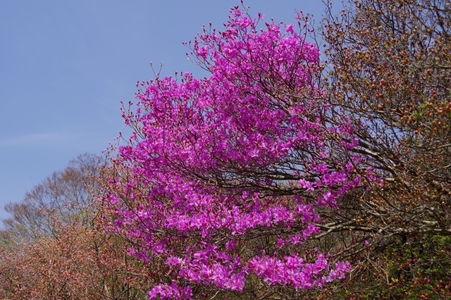 A06KP8_1261.jpg