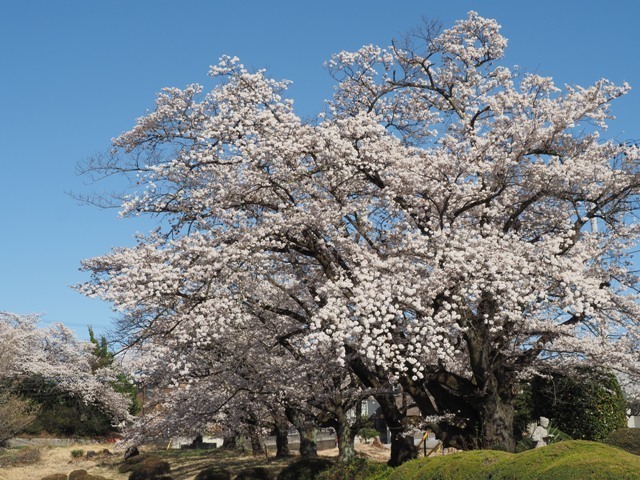 A16P4050390.JPG