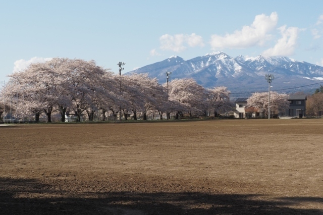 A18P4050391.JPG