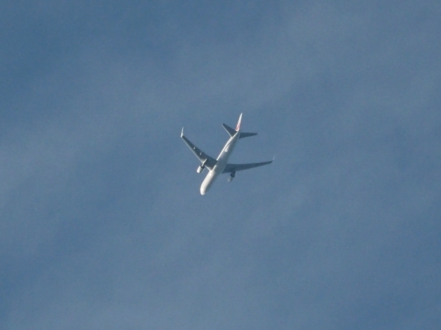 A23EM504041.JPG