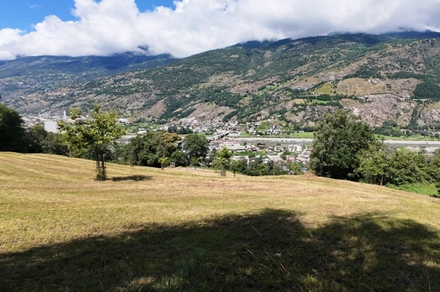 A24DJI_20240707.JPG