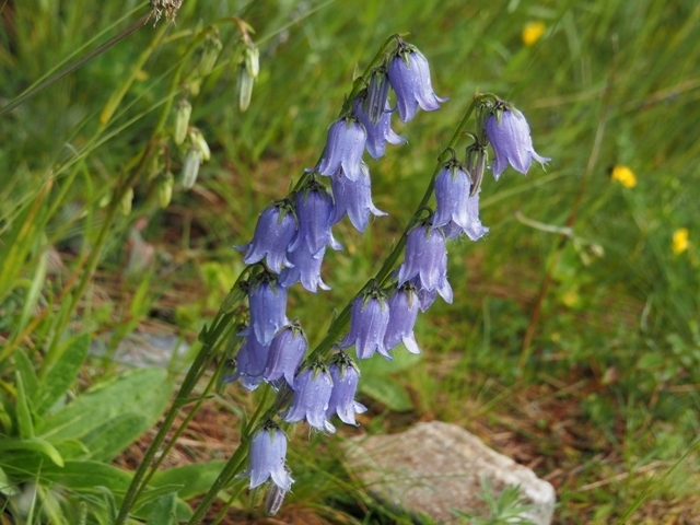 B19EM122959.JPG