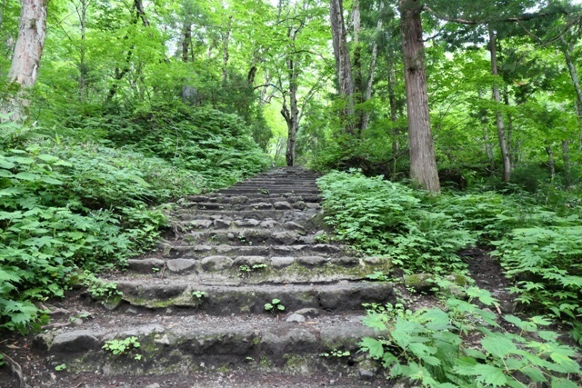 C05PTX_0681.JPG