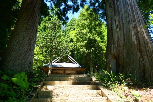 C16PTX_0892.JPG