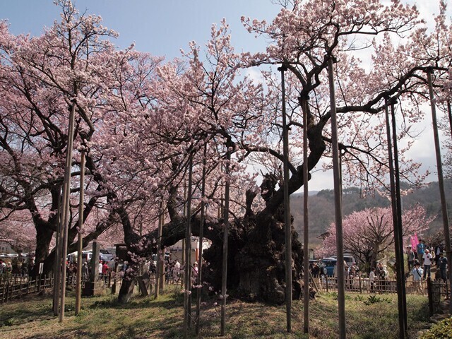 実相寺10.jpg