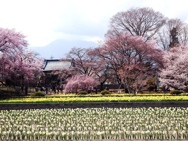 実相寺11.jpg