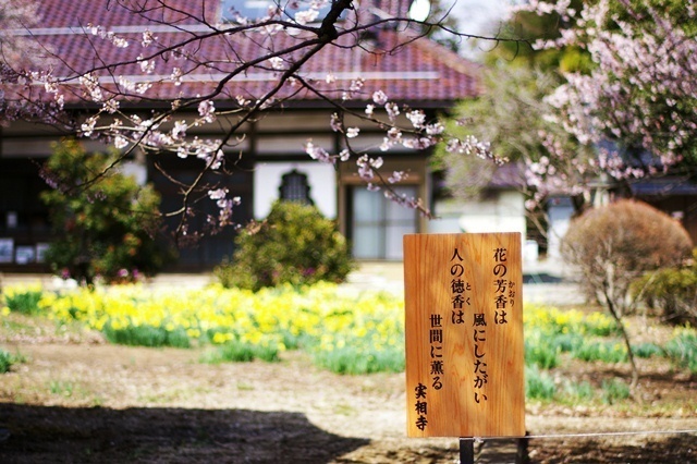 実相寺６.jpg