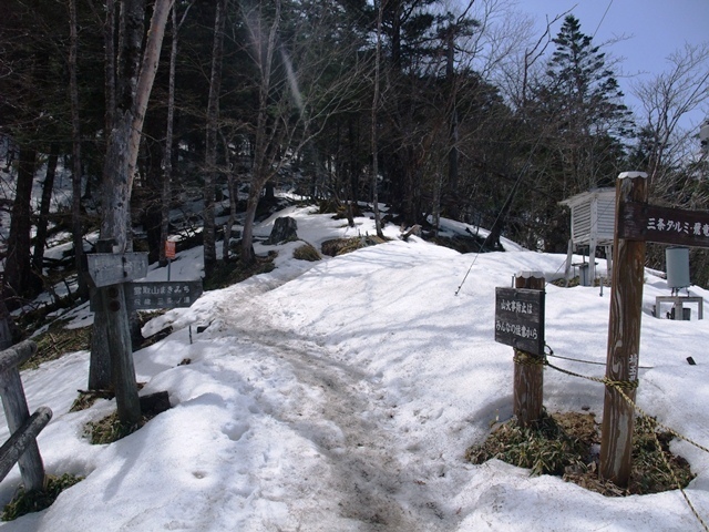 雲取山11.jpg