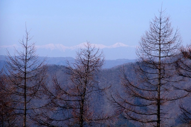 雲取山2-1.jpg