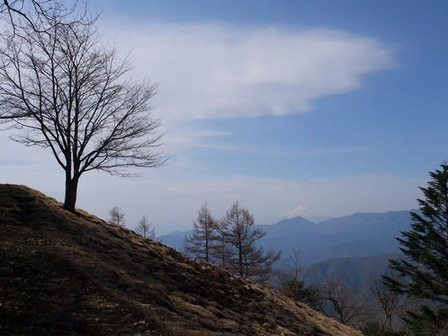 雲取山2.jpg