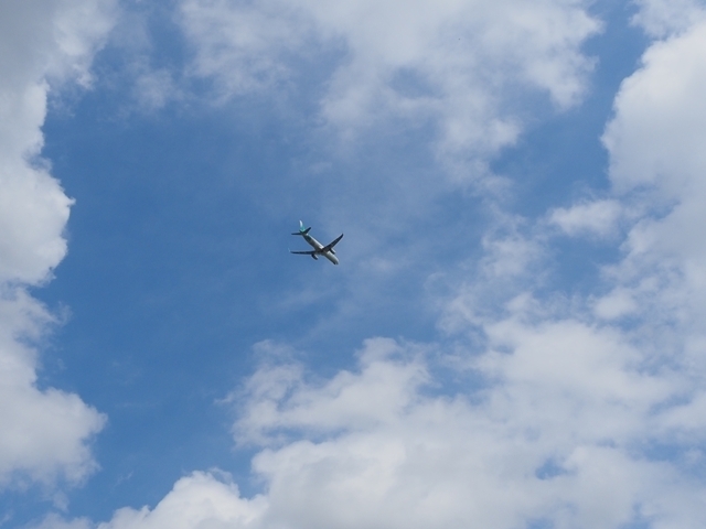 EM062004X.JPG