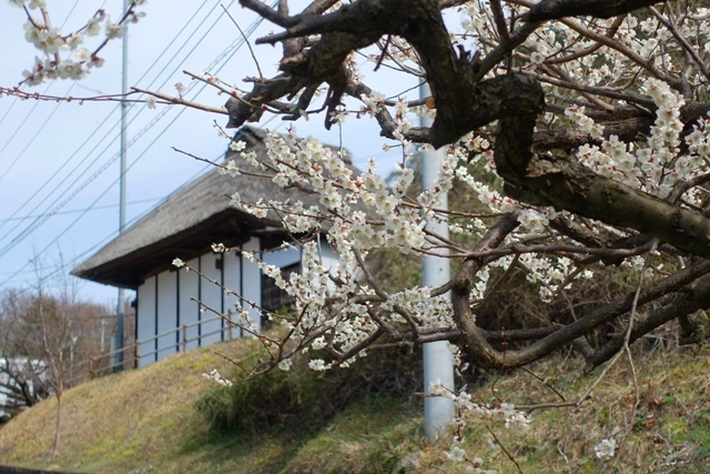 K04DSC00097.JPG