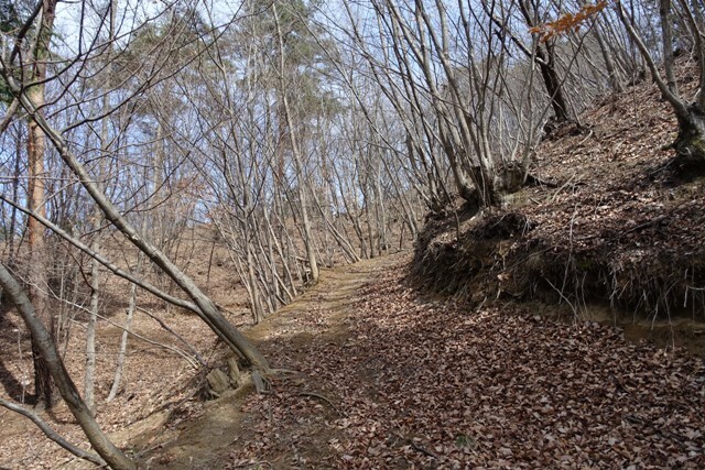 K10DSC00104.JPG