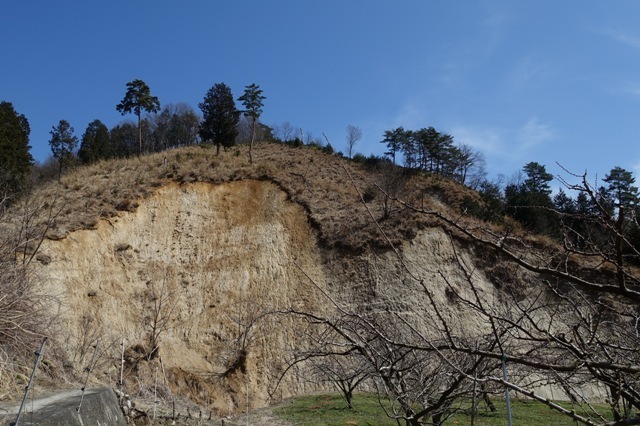 K18DSC00121.JPG