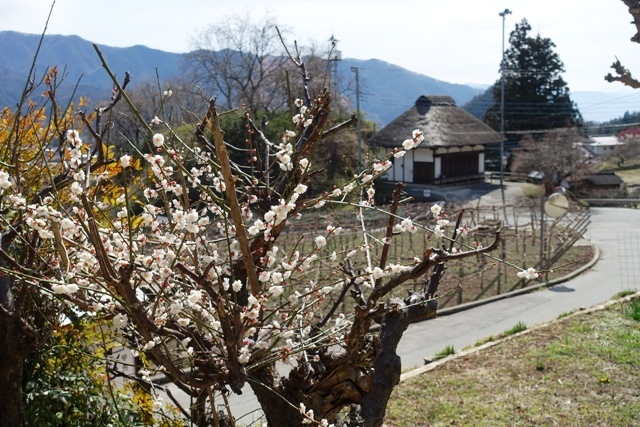 K20DSC00126.JPG
