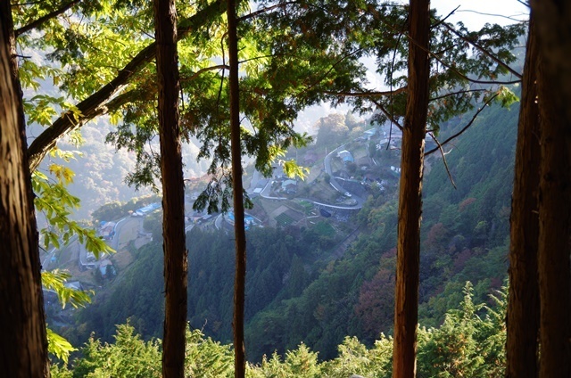 SK_PX1586.jpg