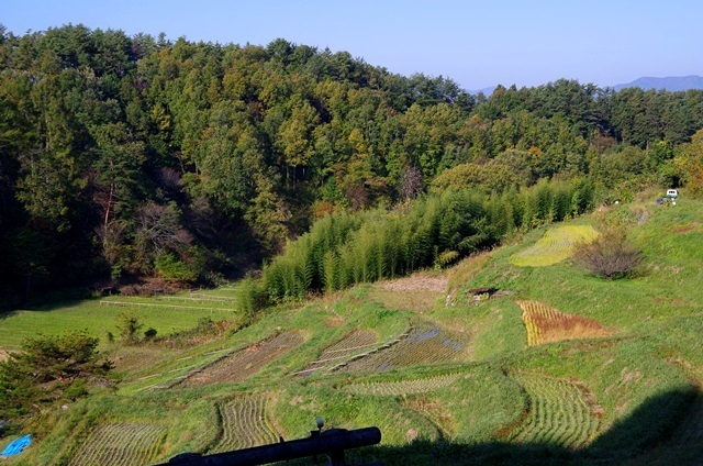 SK_PX1642.jpg