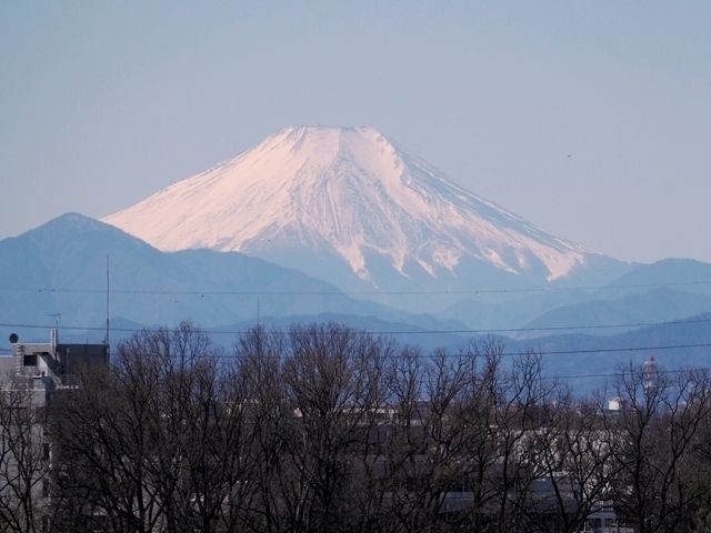 A00EM504226X.JPG