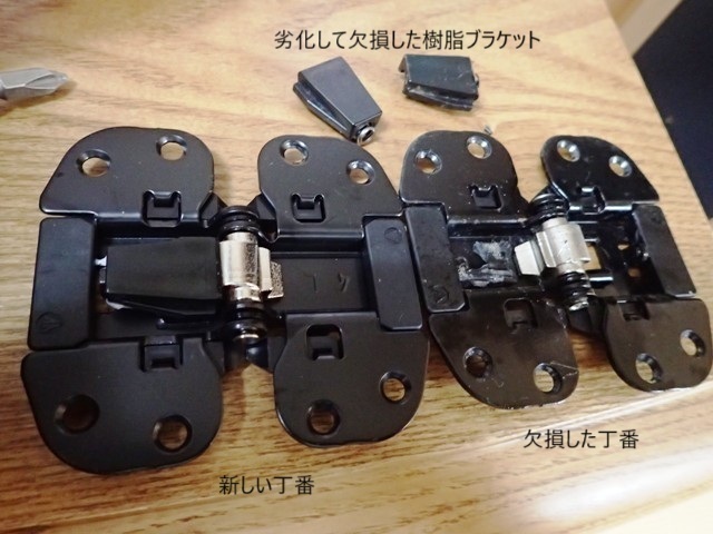 A22P3062954.JPG