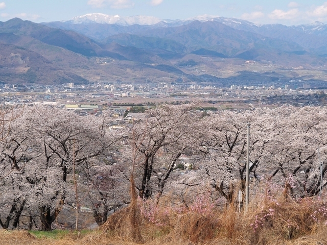 B009EM040105.JPG