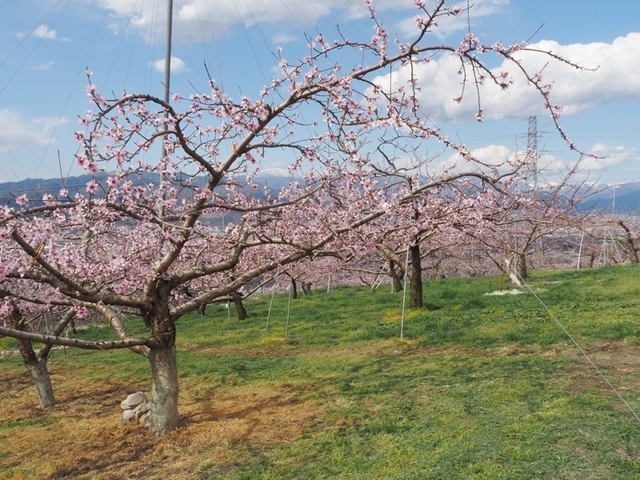 B03EM040093.JPG