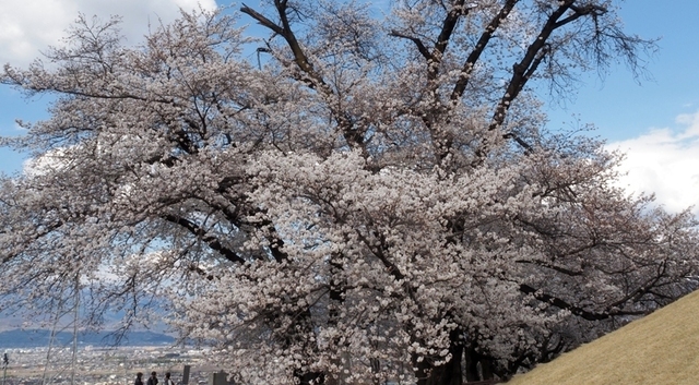 B05EM040094.JPG