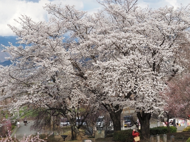 B07EM040106.JPG